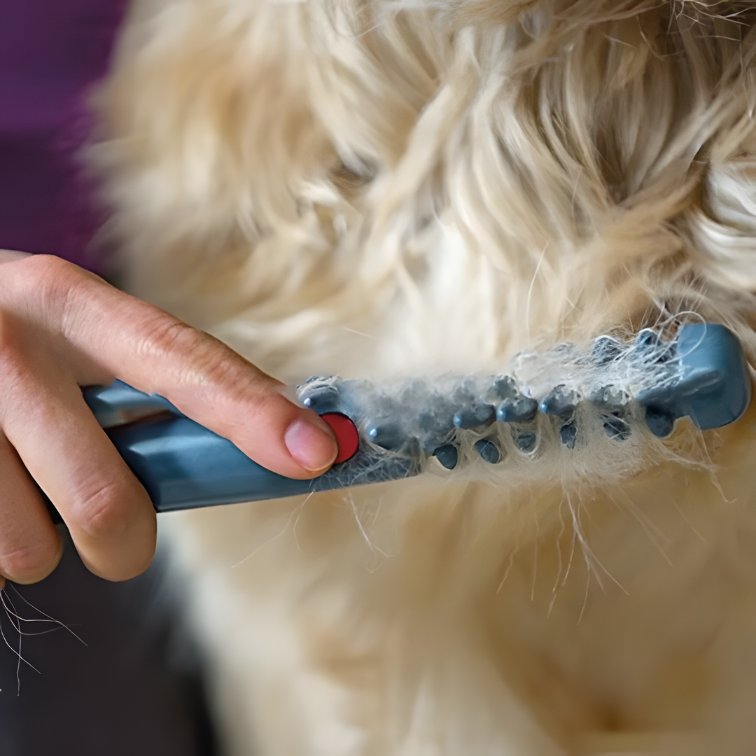 Ergonomische vachtverzorgingstrimmer voor honden en katten, ideaal voor een klitvrije vacht.