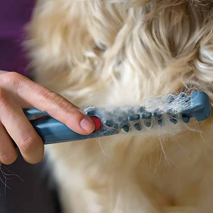 Ergonomische vachtverzorgingstrimmer voor honden en katten, ideaal voor een klitvrije vacht.