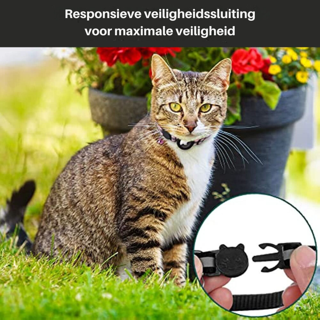 Reflecterende kattenhalsband Milo voor betere zichtbaarheid en veiligheid van uw kat 's nachts.
