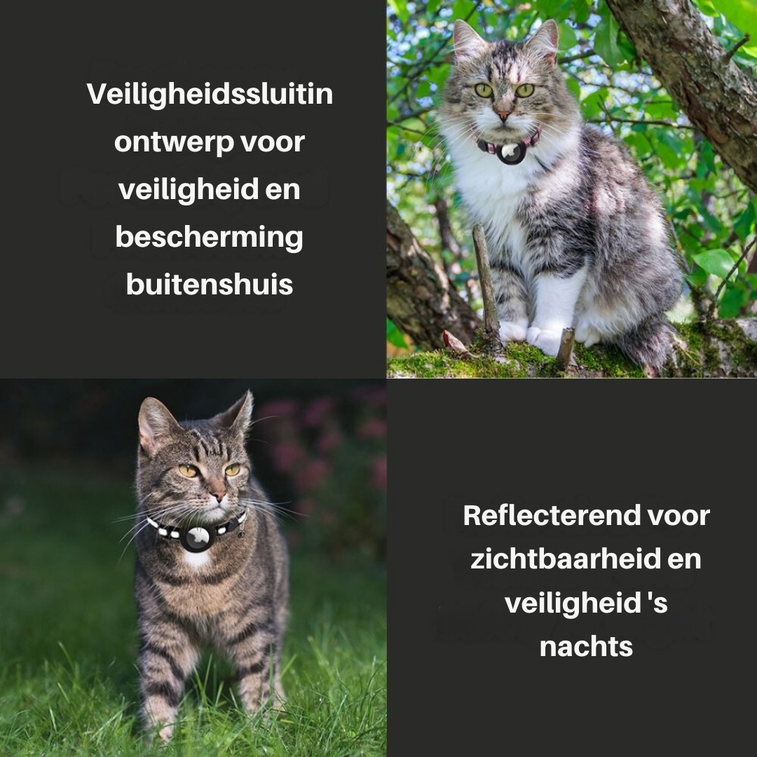 Blauwe kattenhalsband Milo, een stijlvol kattenaccessoire met tracker houder.