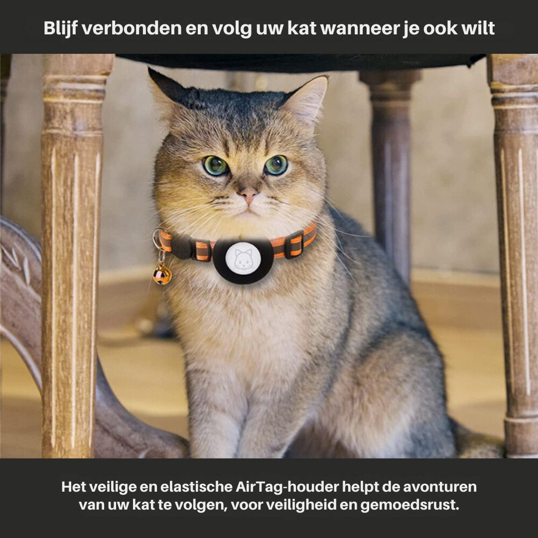 Veilige kattenhalsband Milo met snelsluiting, essentieel voor de veiligheid van uw huisdier.