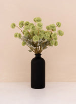 Grasgroen