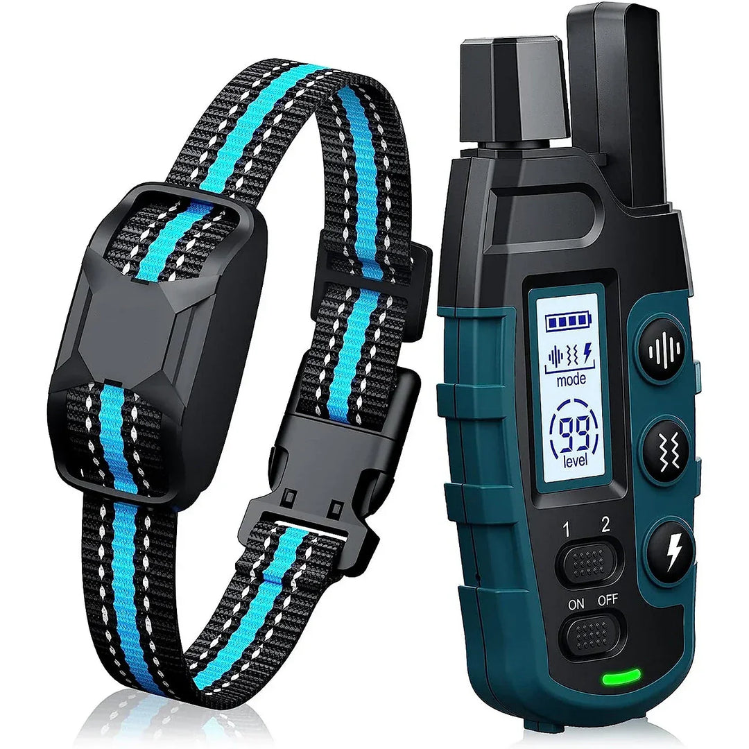 Comfortabele blauwe trainingshalsband gedragen door een hond, voor veilige en effectieve training.