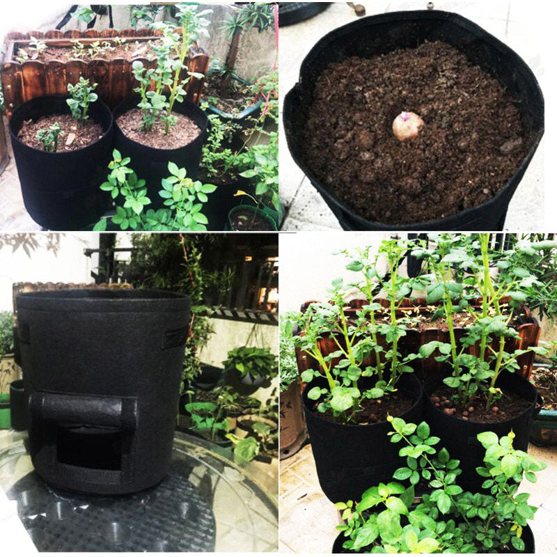 Duurzame grow bag met stevig venster voor biologisch tuinieren. Ideaal voor groenten, aardappelen en planten.