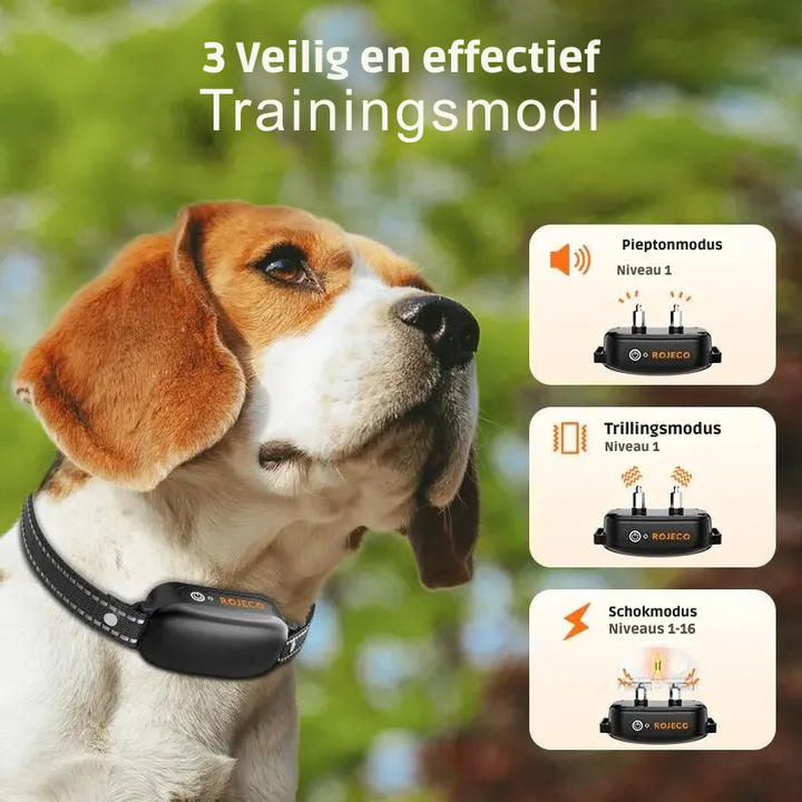 Hond draagt comfortabele waterdichte trainingshalsband, perfect voor gehoorzaamheidstraining en gedragscorrectie.