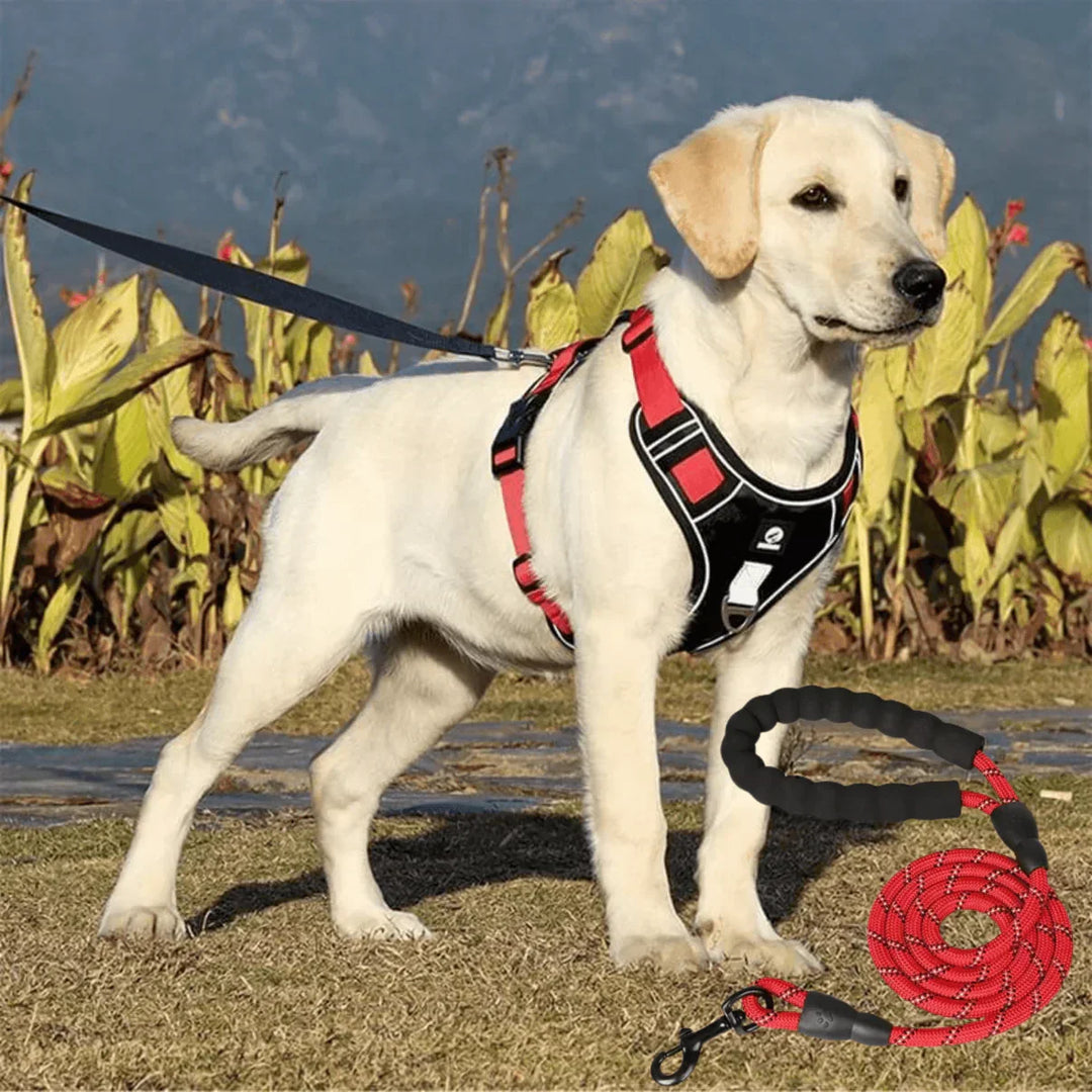 Verstelbaar anti-trek hondentuig met zachte comfortvoering, voorkomt trekken en biedt veiligheid voor elke hond.