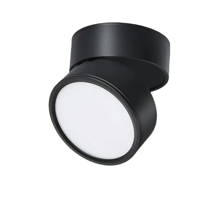 Strakke zwarte LED plafondlamp, opbouwmodel met dimbare functies voor diverse ruimtes.
