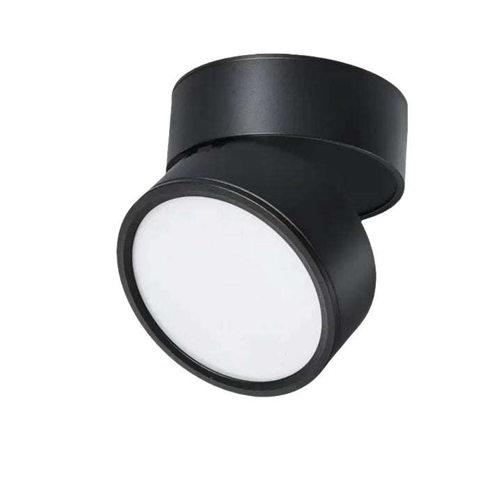 Strakke zwarte LED plafondlamp, opbouwmodel met dimbare functies voor diverse ruimtes.