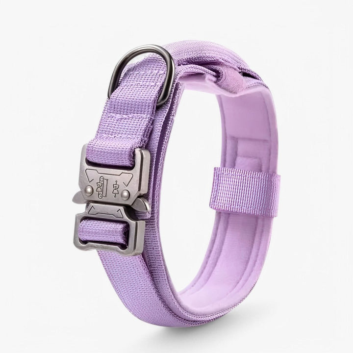 Hoogwaardige tactische hondenhalsband van nylon, comfortabel en verstelbaar voor intensieve training.