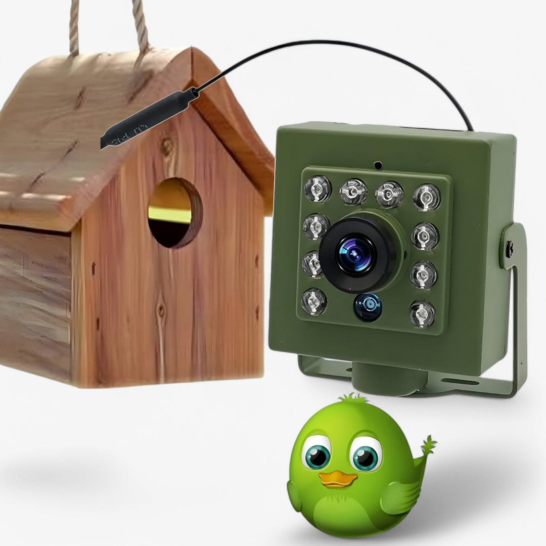 Weerbestendige HD WLAN vogelcamera voor gedetailleerde nestobservatie. Ideaal voor buiten wildlife bewaking.