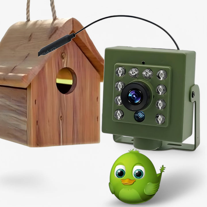 Weerbestendige HD WLAN vogelcamera voor gedetailleerde nestobservatie. Ideaal voor buiten wildlife bewaking.