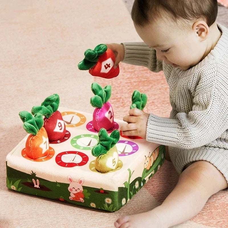 Montessori trekwortel spel: meerkleurige pluche wortels in basis. Bevordert cognitieve ontwikkeling bij baby's.