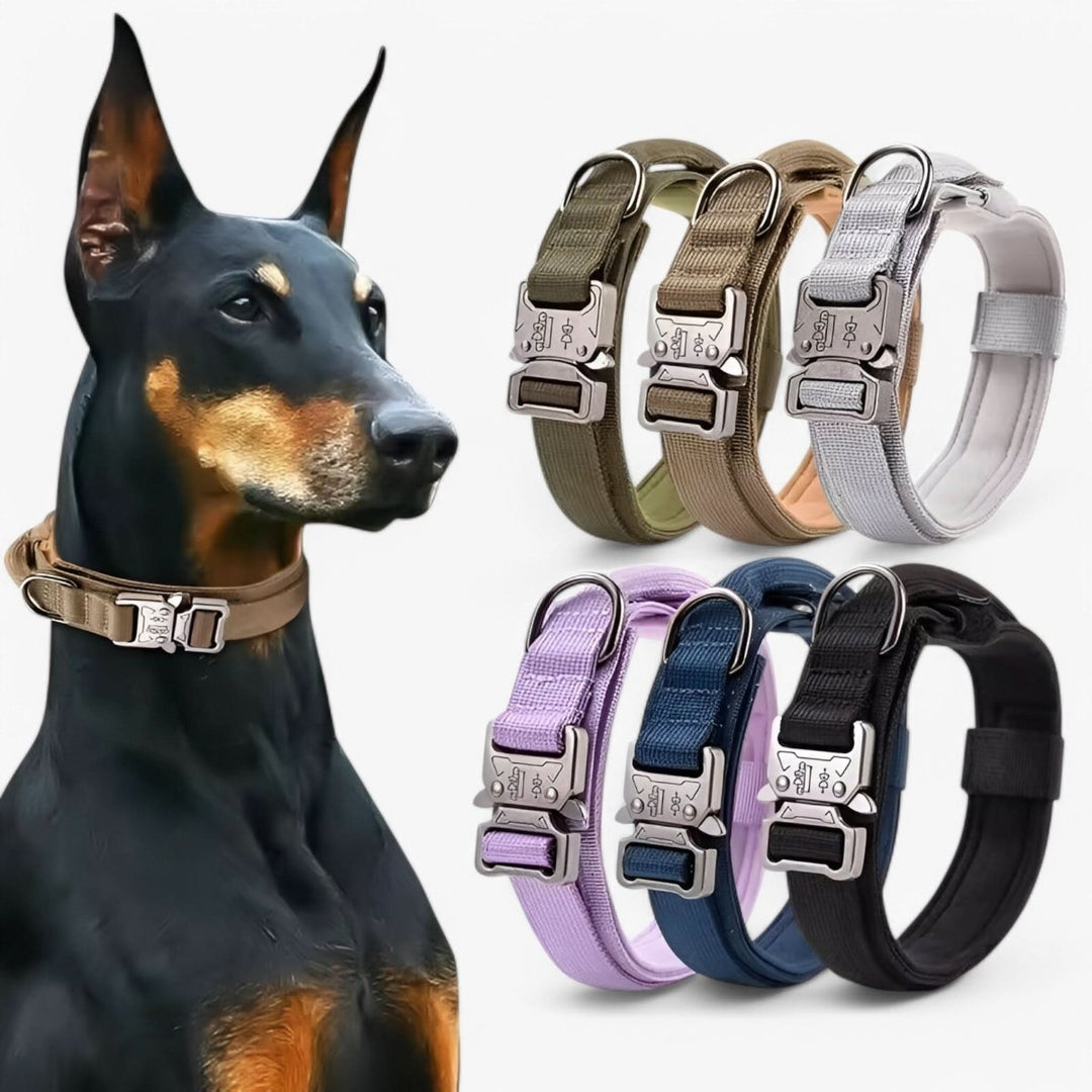 Sterke nylon tactische hondenhalsband, weerbestendig en robuust voor middelgrote en grote honden.