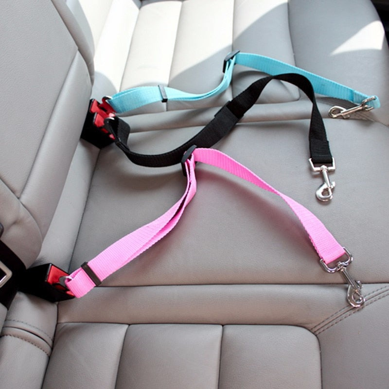 Huisdier autogordel: Premium autogordel voor veilig honden- en kattenvervoer. Essentieel auto accessoire voor dierenzorg.