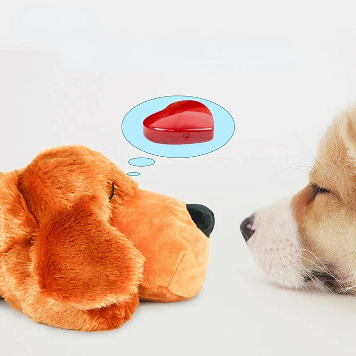 Angstverlichtende knuffel voor honden, ondersteunt bij stressvolle situaties en onrust.