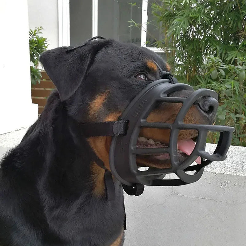 Hond draagt comfortabele siliconen muilkorf, perfect voor veilige wandelingen, dierenartsbezoek en training.