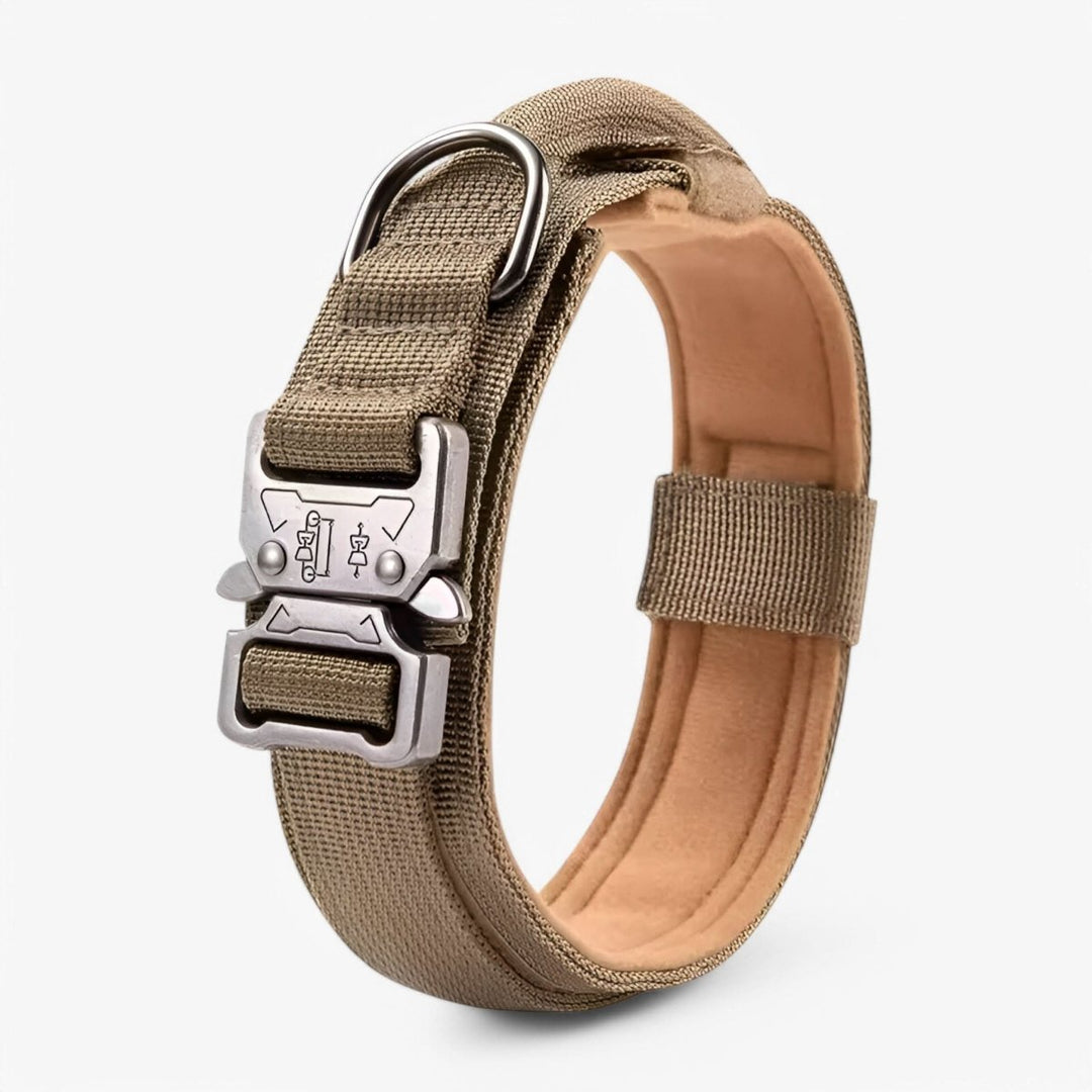 Weerbestendige tactische hondenhalsband, robuust nylon, perfect voor outdoor training en avontuur.