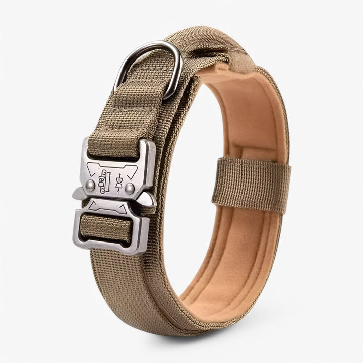 Weerbestendige tactische hondenhalsband, robuust nylon, perfect voor outdoor training en avontuur.