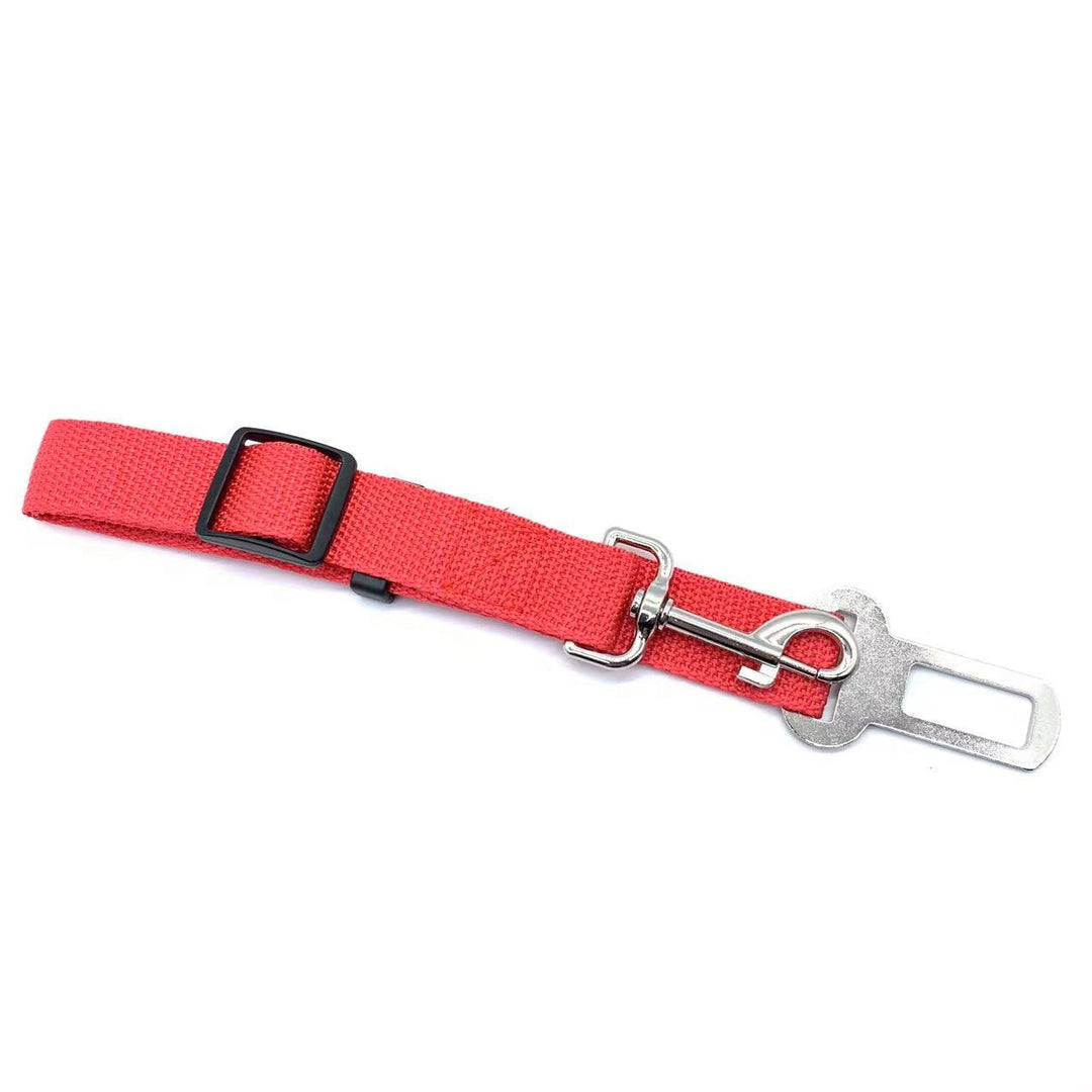 Autogordel nylon riem: Duurzame nylon autogordel riem voor huisdieren. Eenvoudig te bevestigen en verstelbaar voor elk dier.