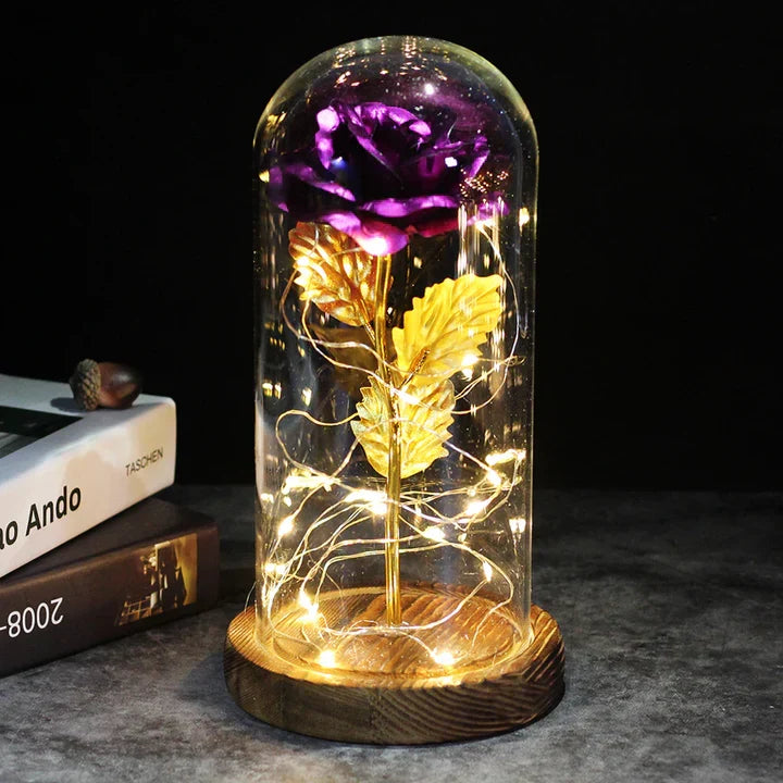 Tijdloos liefdesgeschenk: eeuwige roos lamp met led. Perfect voor jubileum, Valentijnsdag of Moederdag.