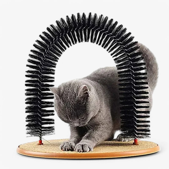 Interactief katten speelgoed: de Mira krab- en massageboog. Houdt je kat actief en vermaakt, bevordert natuurlijk spel.
