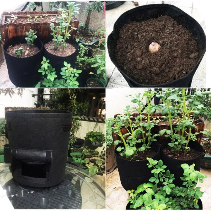 Slimme plantzakken voor efficiënt tuinieren. Perfect voor beginners en ervaren moestuiniers.