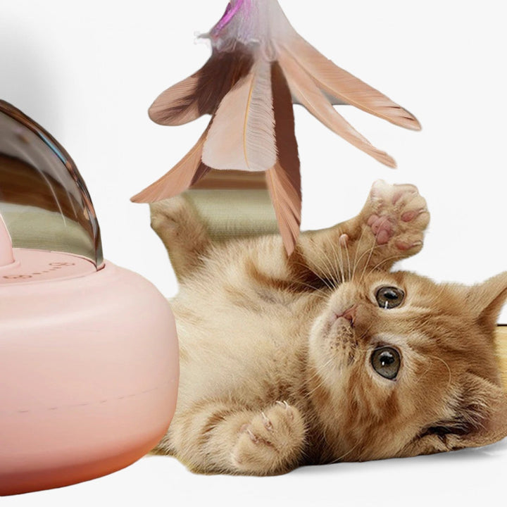 Nola slim laser kattenspeelgoed met meerkleurig regenbooglicht voor speelse katten en actief binnenvermaak.