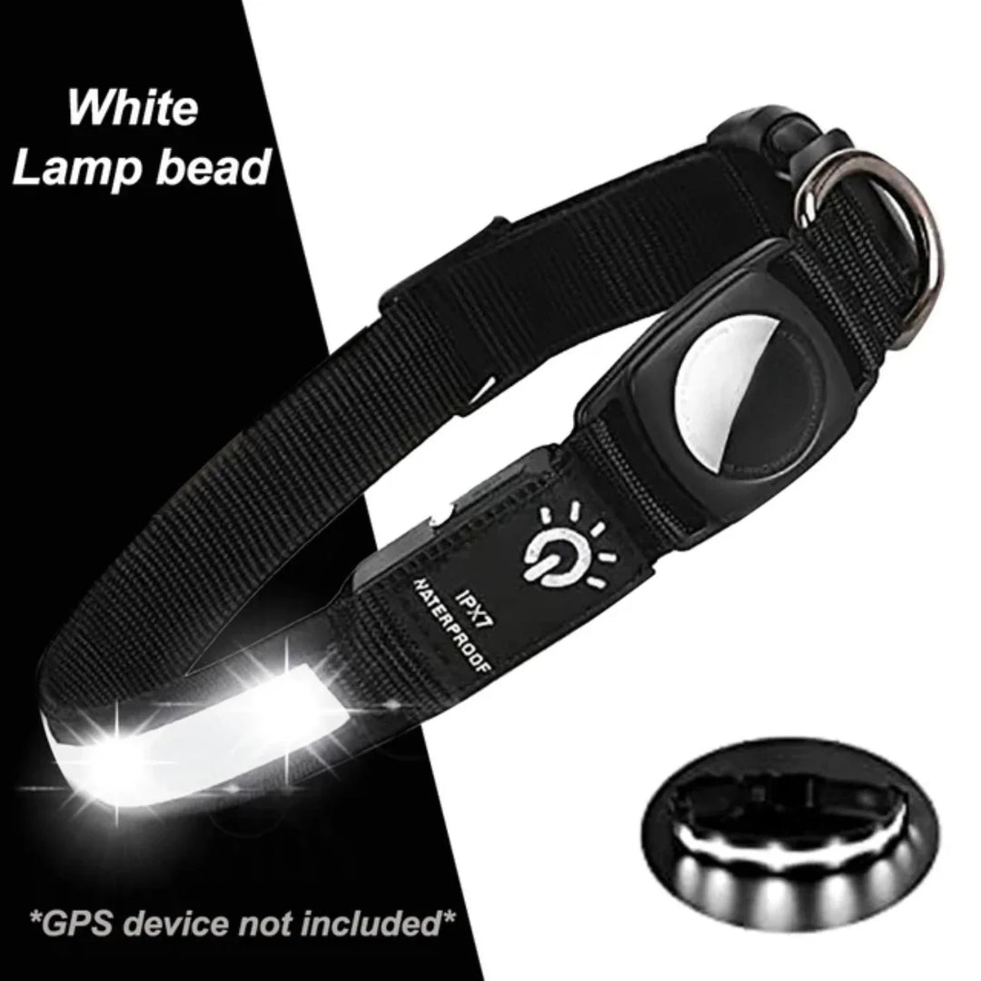 Stijlvolle LED hondenhalsband met trackerhouder, perfect voor veilige avondwandelingen en snelle opsporing.