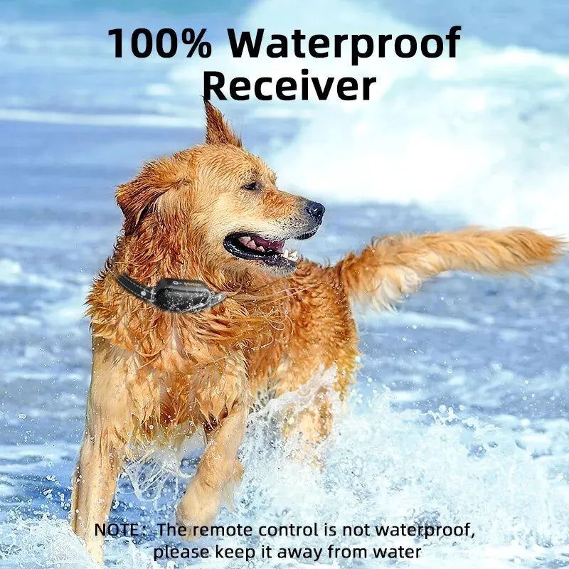 Oplaadbare ProTrain trainingshalsband voor honden, waterdicht en met lange batterijduur voor buiten.
