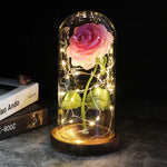 Roze roos