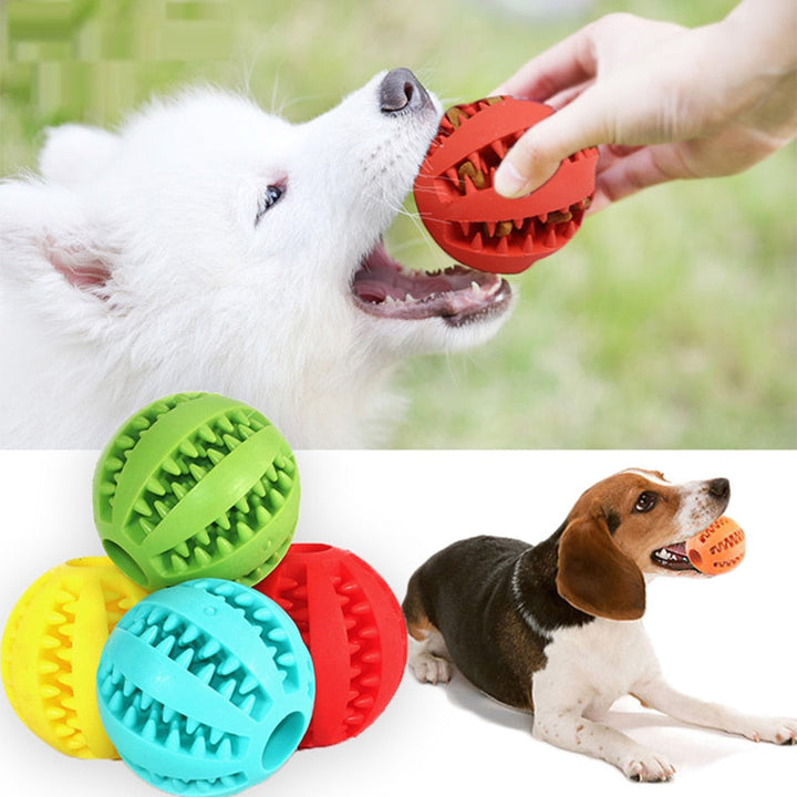 Tandenreinigend interactief speelgoed voor honden en puppy's, bevordert een gezond gebit.