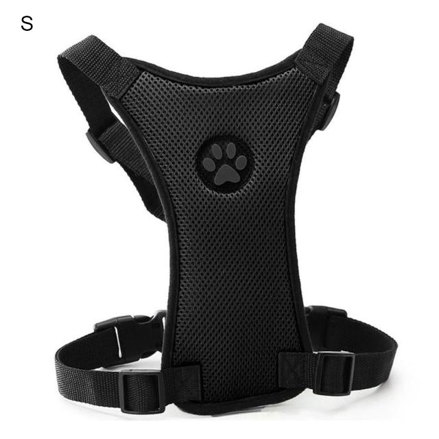 Close-up van PawSafe honden autogordel borsttuig. Stevig ontwerp met veilige sluiting voor hondenveiligheid.