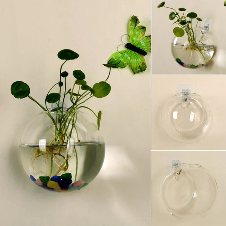 Decoratieve AirBloom plantenvaas, perfect voor interieur. Hydroponisch, hangend glas design.