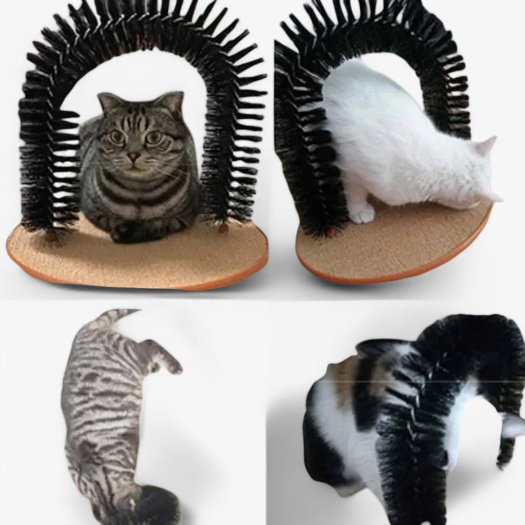 Gelukkige kat die geniet van de Mira zelfverzorgende krab- en massageboog, gebruikt als krabpaal en massageborstel.