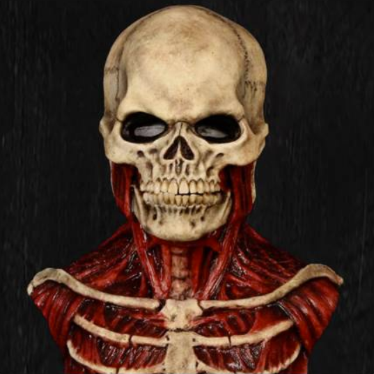 Volledig realistisch doodskop masker van latex, angstaanjagend detail voor je Halloween kostuum.
