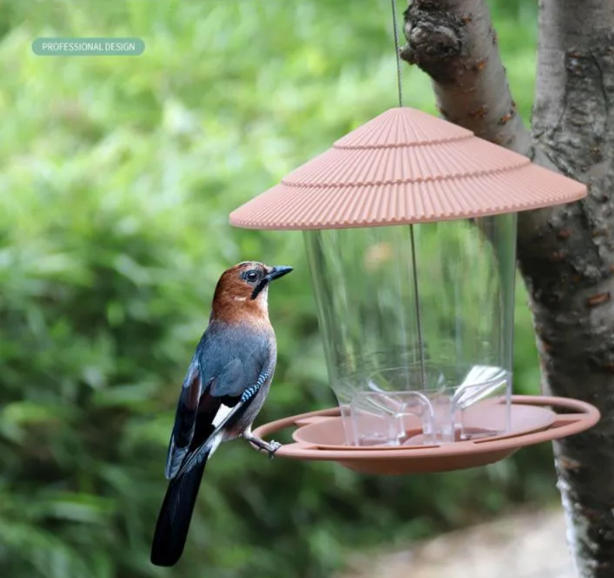 Diervriendelijke transparante noten vogelvoeder; zie hoe tuinvogels genieten van automatische voeding.