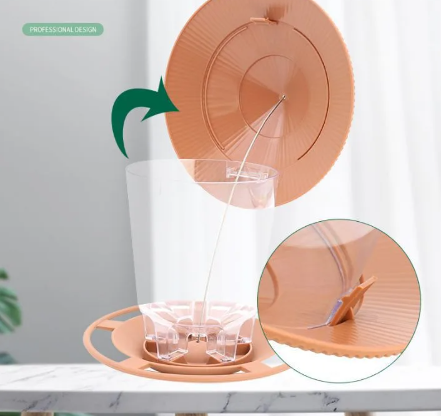Eenvoudige transparante automatische vogelvoeder voor noten; perfect voor tuinvogels buiten.