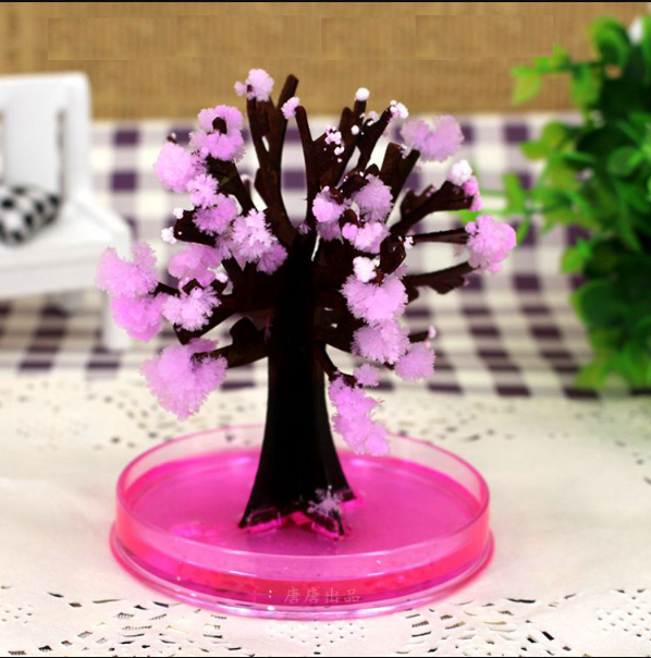 Unieke miniatuur magische boom toont de wetenschap van bloeiende kersenbloesem, boeiende zen decoratie.