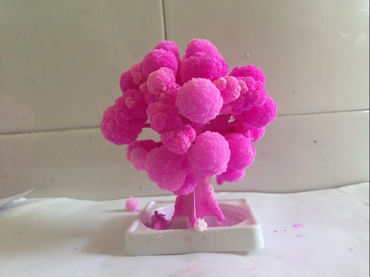 Betoverende miniatuur kersenbloesem boom, een uniek decoratief stuk of origineel cadeau voor thuis.