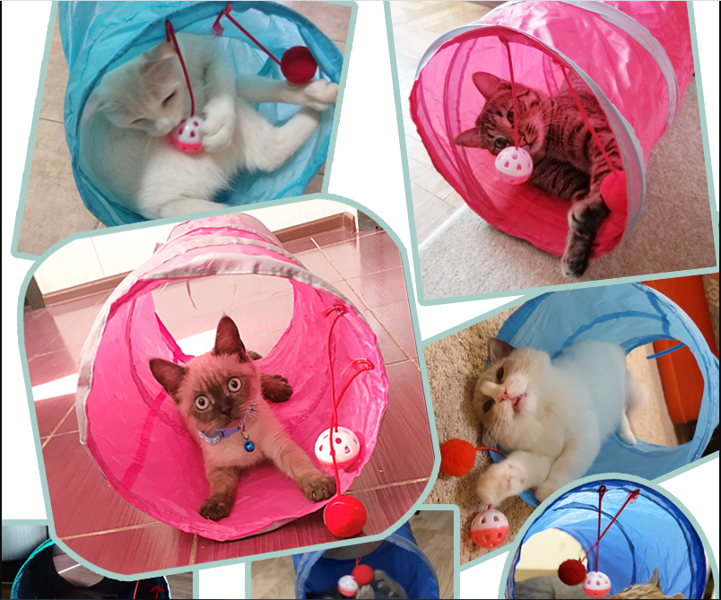 Opvouwbare kattentunnel van duurzaam nylon; perfect speeltje voor actieve katten en huisdieren.