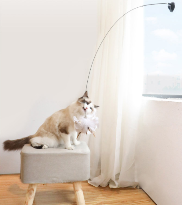 Dynamisch kattenspeelgoed daagt jachtinstinct uit, biedt eindeloos vermaak en houdt katten actief en gezond.