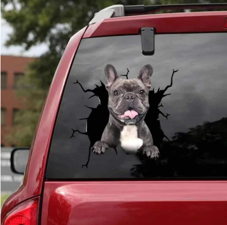 Hondenliefhebber auto sticker op de achterruit, duurzaam vinyl voor langdurige, levendige decoratie.