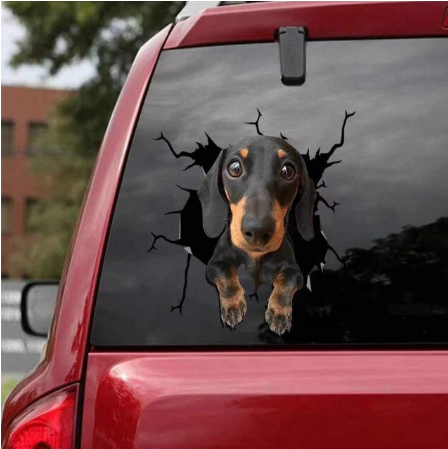 Hondenliefhebber sticker voor je auto, duurzaam & waterdicht vinyl dat elke hondenbezitter zal waarderen.