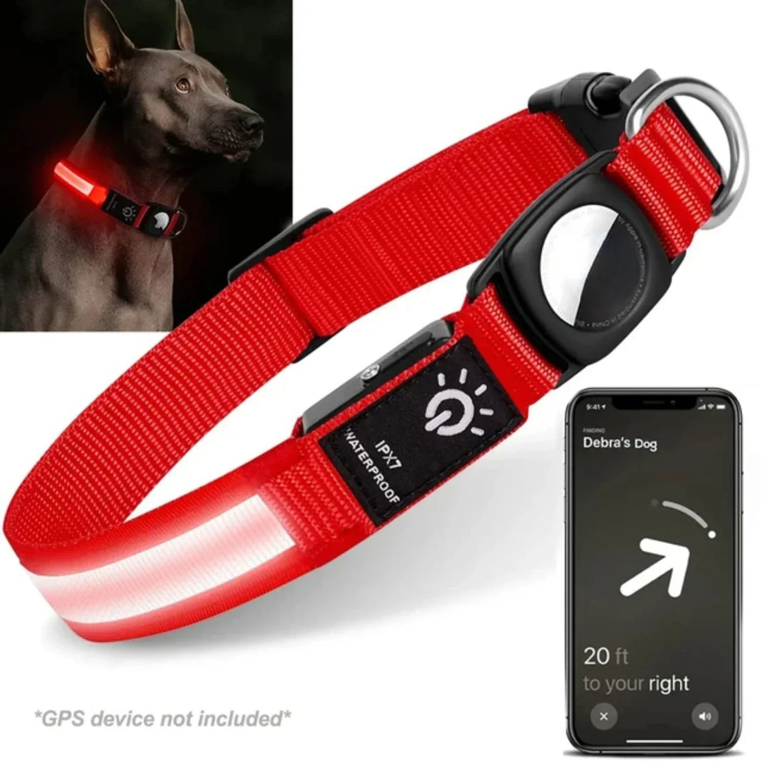 Oplaadbare LED hondenhalsband, waterdicht en met trackerhouder, voor veiligheid en locatiebepaling in het donker.