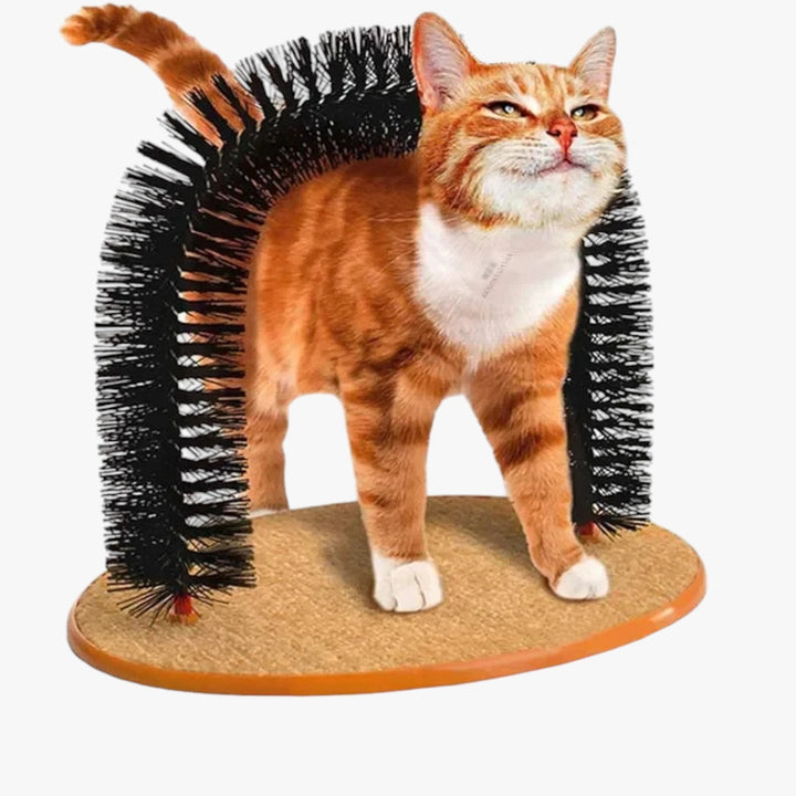 Stijlvolle krab- en massageboog met stevige krabmat basis voor stabiliteit. Duurzaam katten speelgoed voor elke kat.