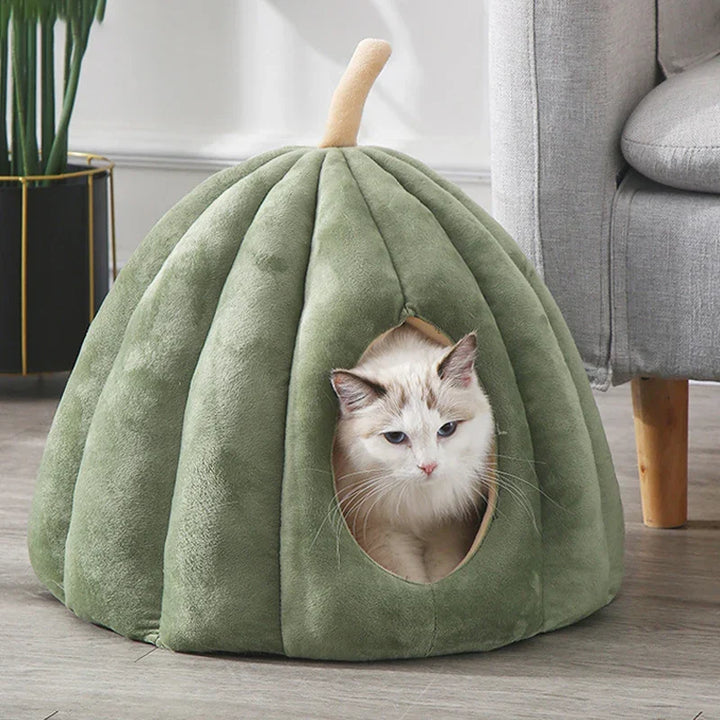 Huisdierenaccessoire: een gesloten pompoenbed voor katten, biedt warmte en geborgenheid.