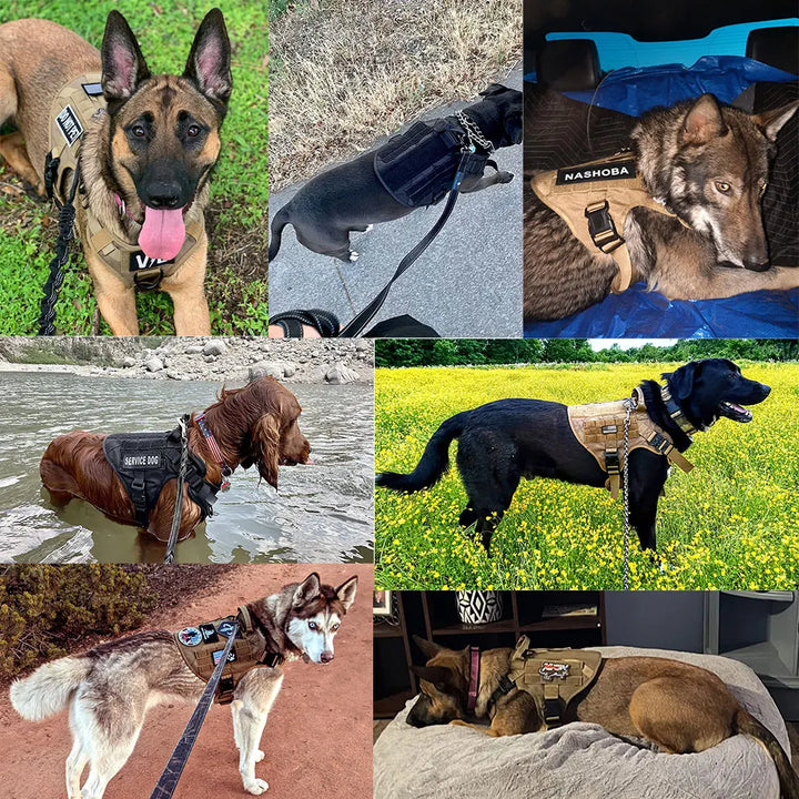 Essentieel tactisch K9 hondenharnas voor prestatie en controle. Gemaakt van duurzaam nylon voor de actieve hond.