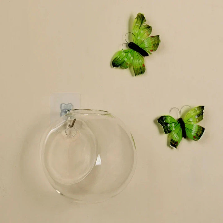 Hangende hydroponische glazen vaas met plant, verrijkt modern interieur. Elegant design voor aan de muur.