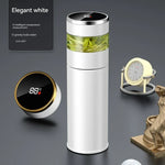 Wit