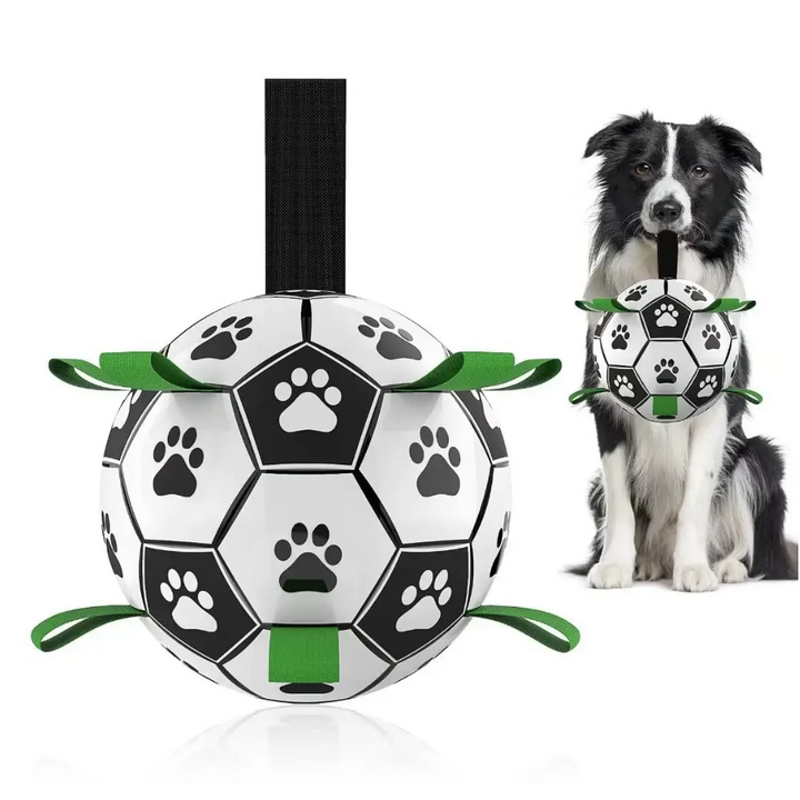 Hond grijpt de duurzame hondenvoetbal met handvatten. Perfect hondenspeelgoed voor interactief buitenspel.